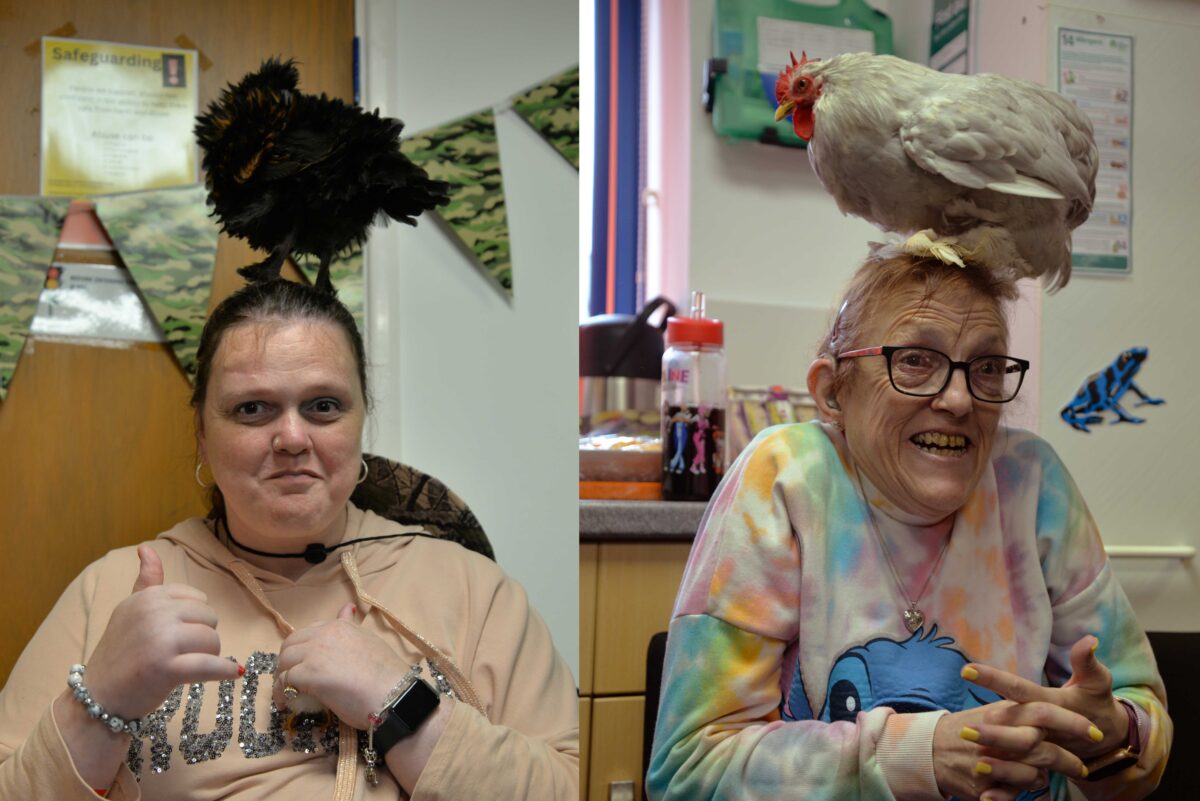 chickens on heads
